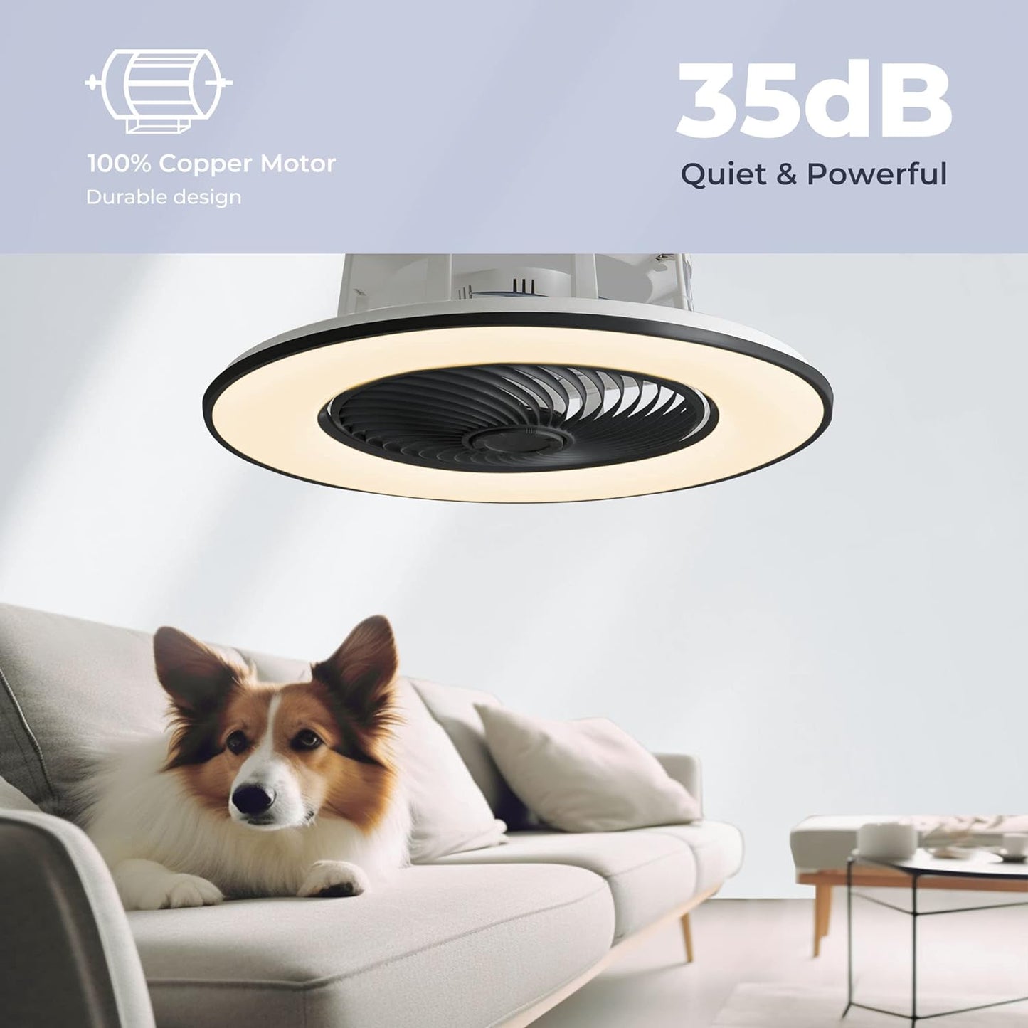 Ceiling lamp RGB with fan - including remote control &amp; App